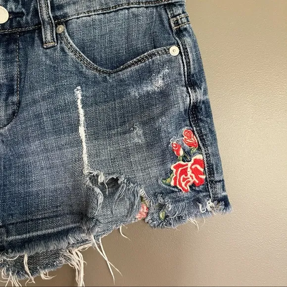 Blank NYC Embroidered Hiker Raw Hem Denim Short 25