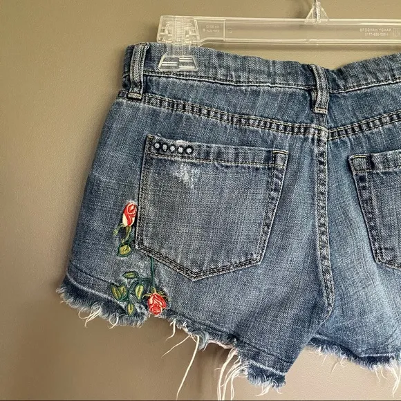Blank NYC Embroidered Hiker Raw Hem Denim Short 25