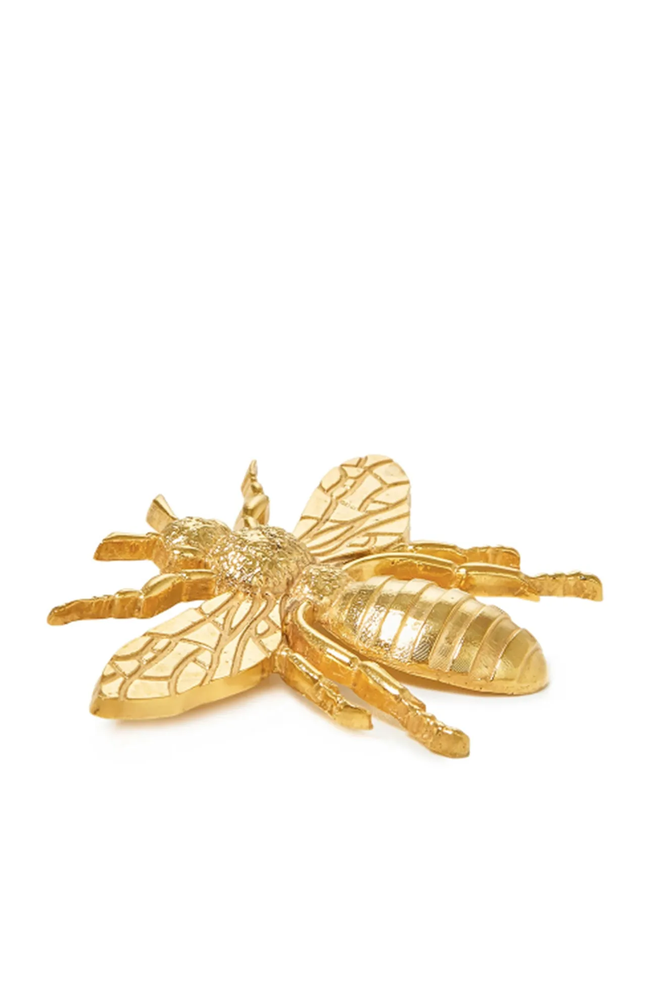 Bug Brooch