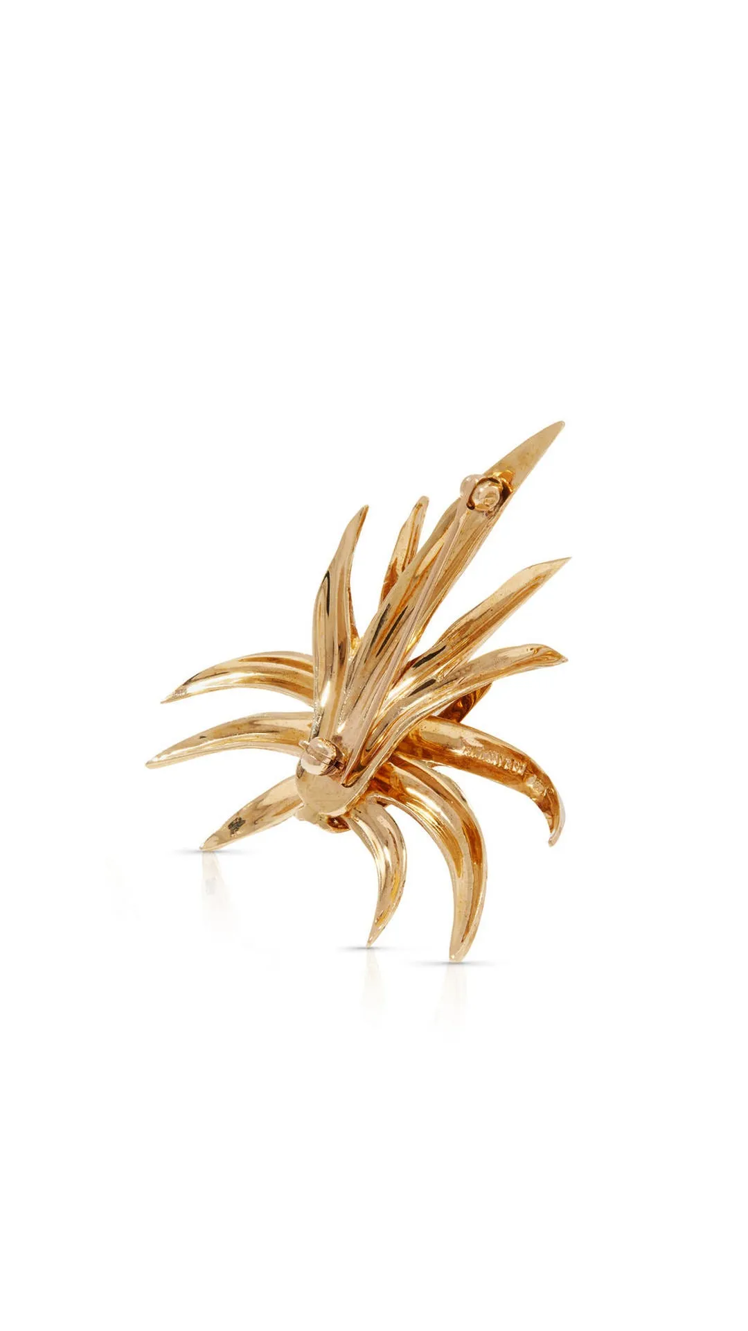 Contemporary Tiffany & Co. Spray Brooch