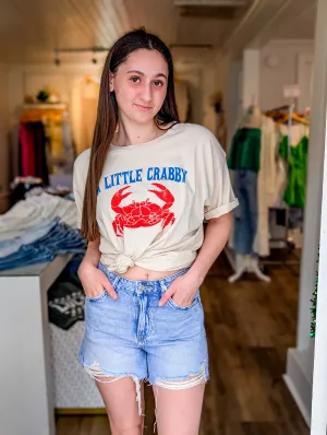 High Rise Denim Shorts With Raw Hem
