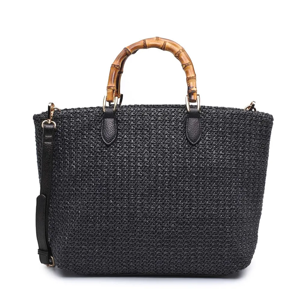 Isla Top Handle