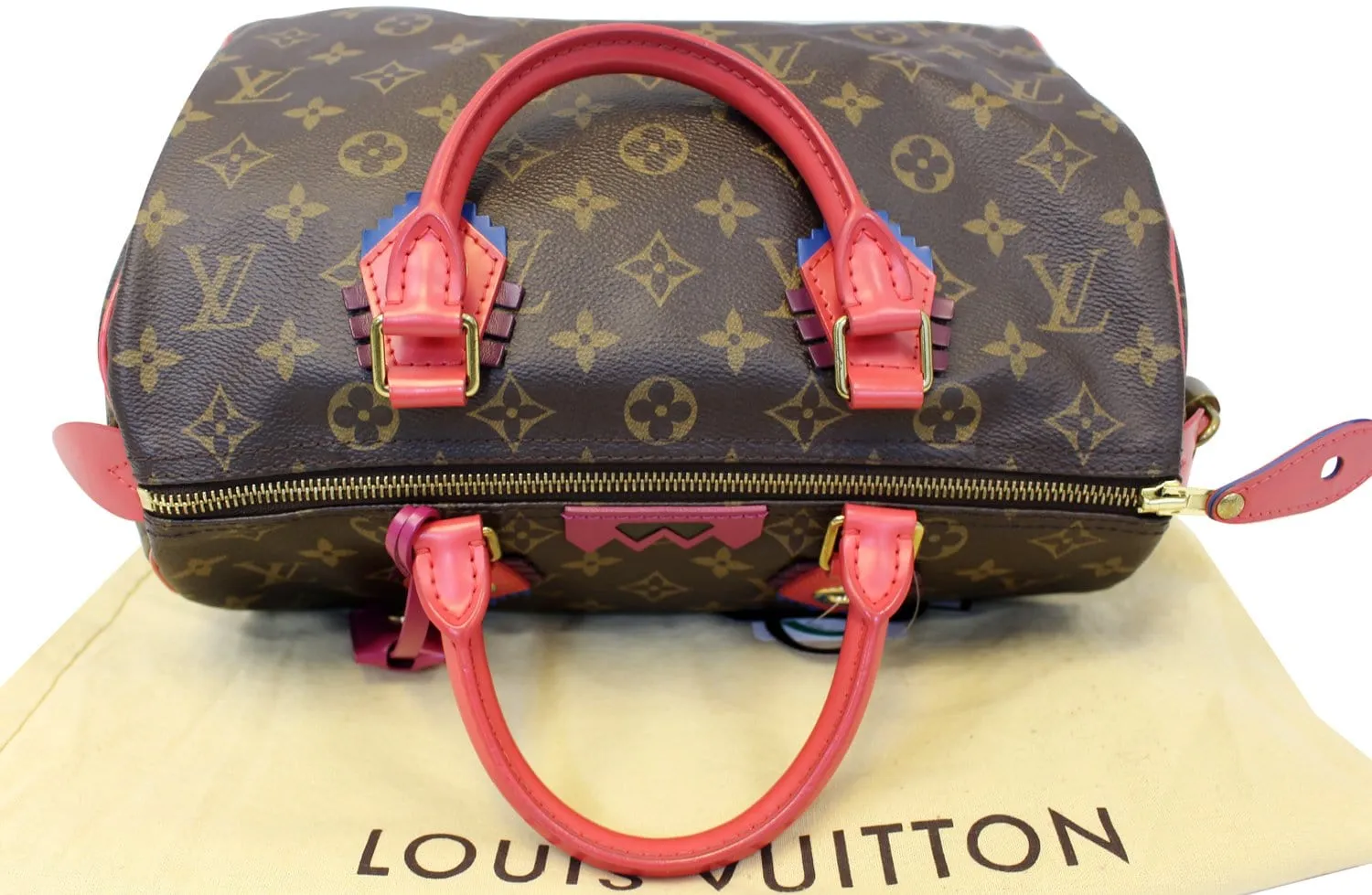 LOUIS VUITTON Totem Monogram Canvas Speedy 30 Satchel Bag