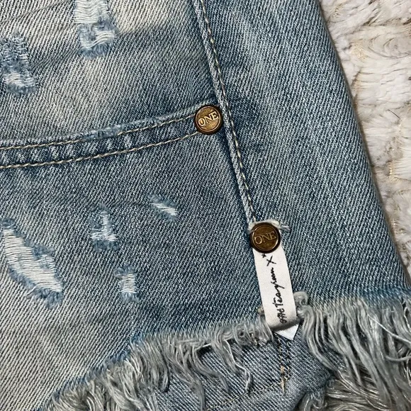 ONE by ONE TEASPOON “Bonitas” Distressed Denim Shorts 29