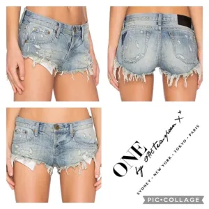ONE by ONE TEASPOON “Bonitas” Distressed Denim Shorts 29