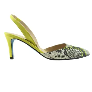 Serpent Yellow Snake