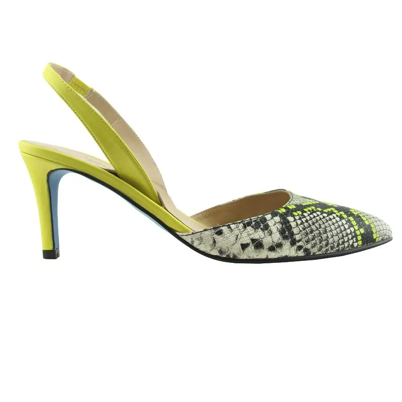 Serpent Yellow Snake