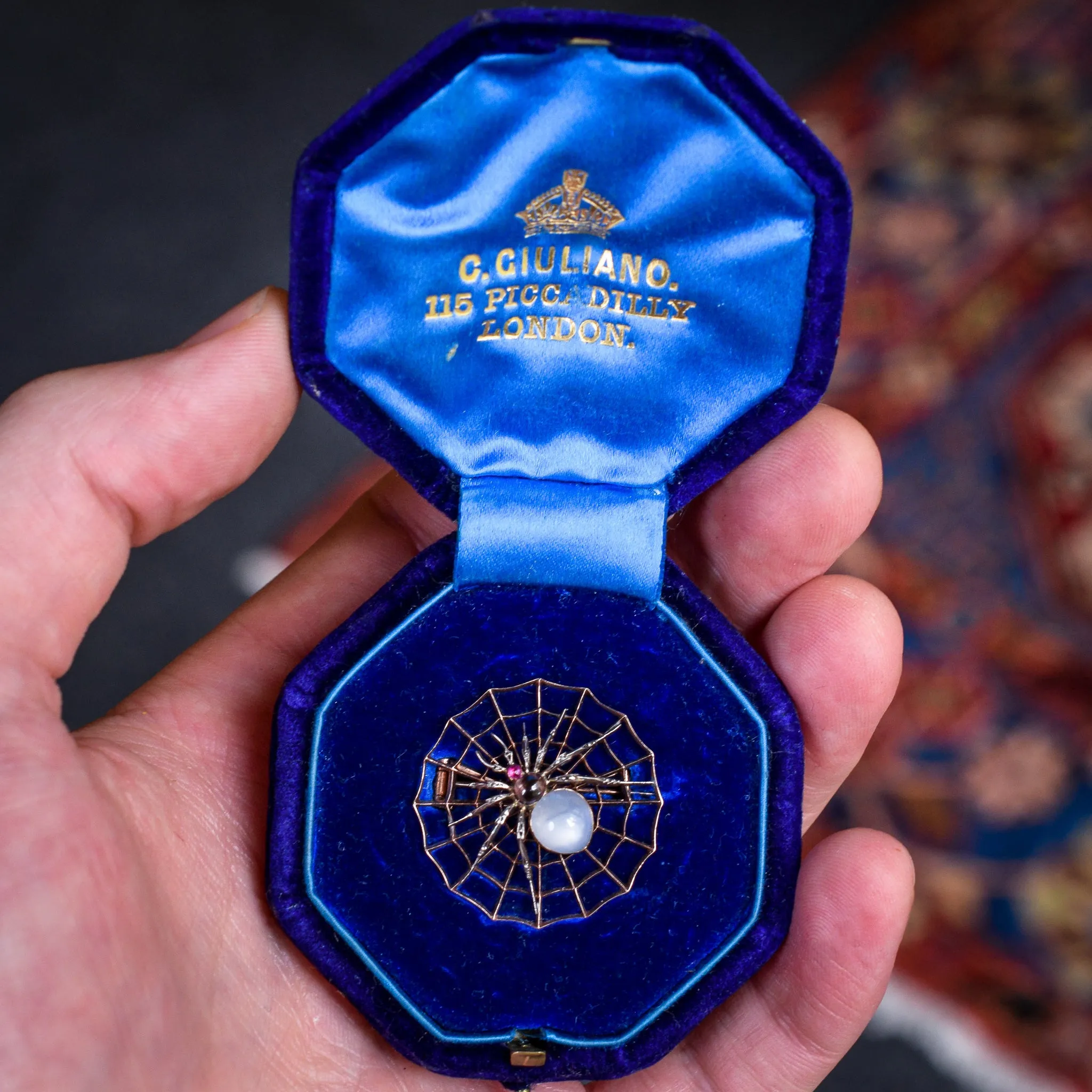 Victorian Star Sapphire Spider & Web Brooch by Carlo Giuliano